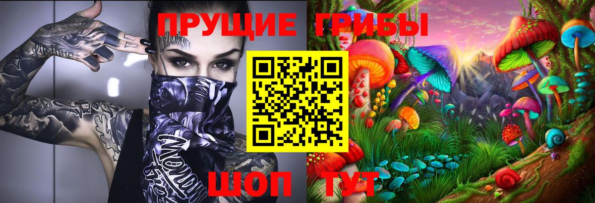 Орёл  Псилоцибиновые грибы ЛСД  Вход с VPN 