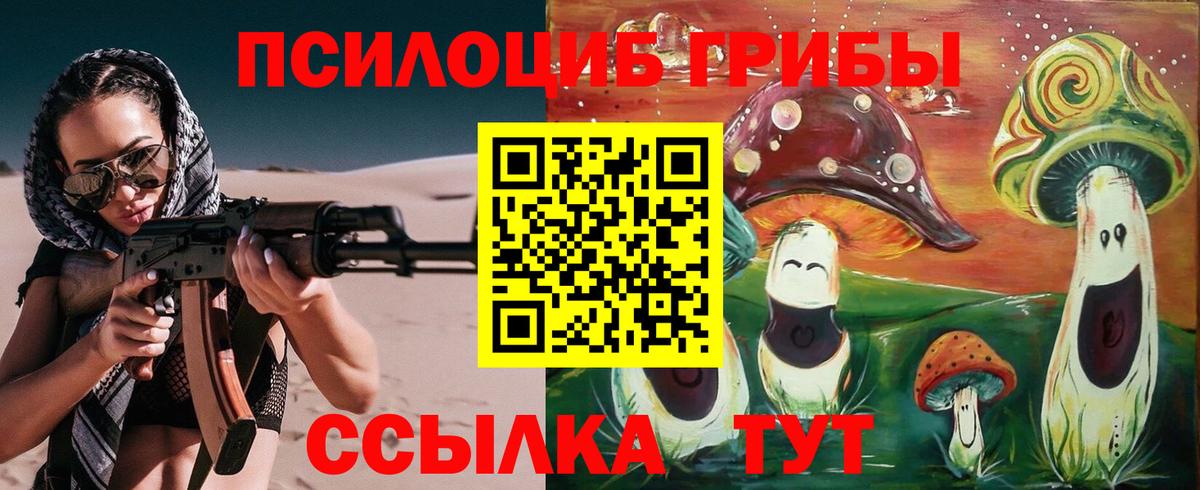 Псилоцибиновые грибы мицелий Орёл